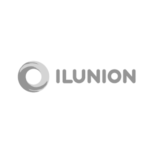 Ilunion